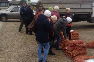 12 тонн картофеля реализовано на ярмарке в Криулино