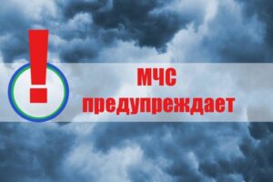 Внимание! 25 июня в Свердловской области прогнозируются неблагоприятные погодные явления